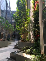 Bijou (D5), Apartment #199784272
